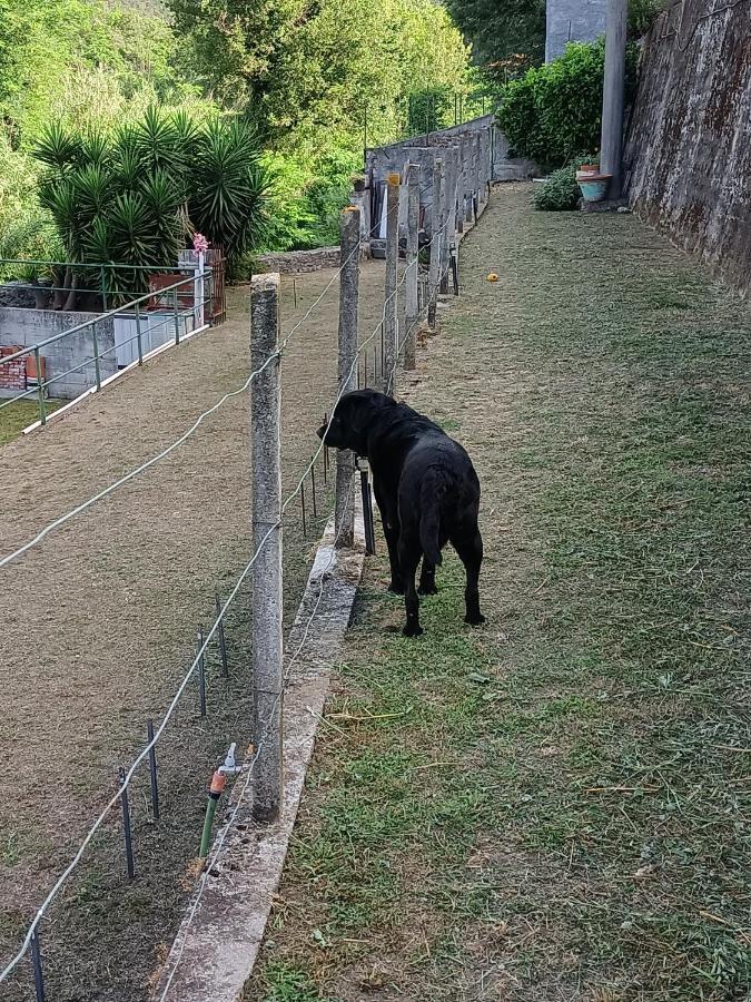 Da Ange E Bru Sestri Levante Exterior foto